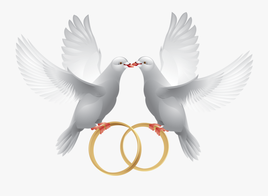 Marriage Clipart Dove - Transparent Wedding Dove Png, Transparent Clipart