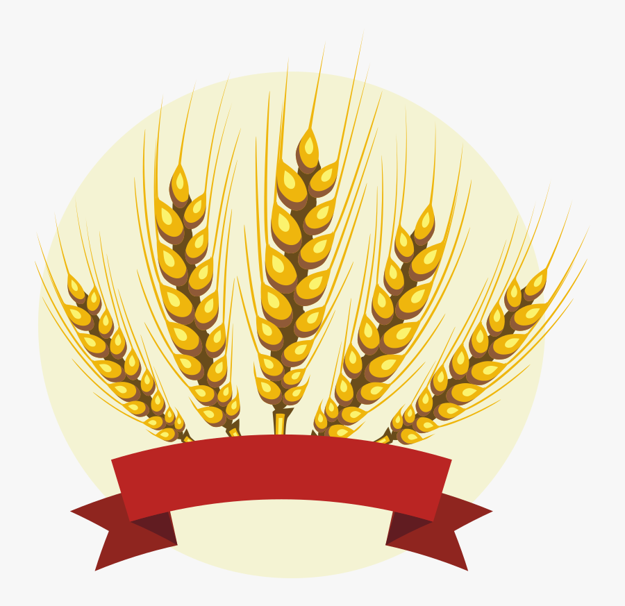 Grass Family,wheat,food Grain - Barley Clipart, Transparent Clipart