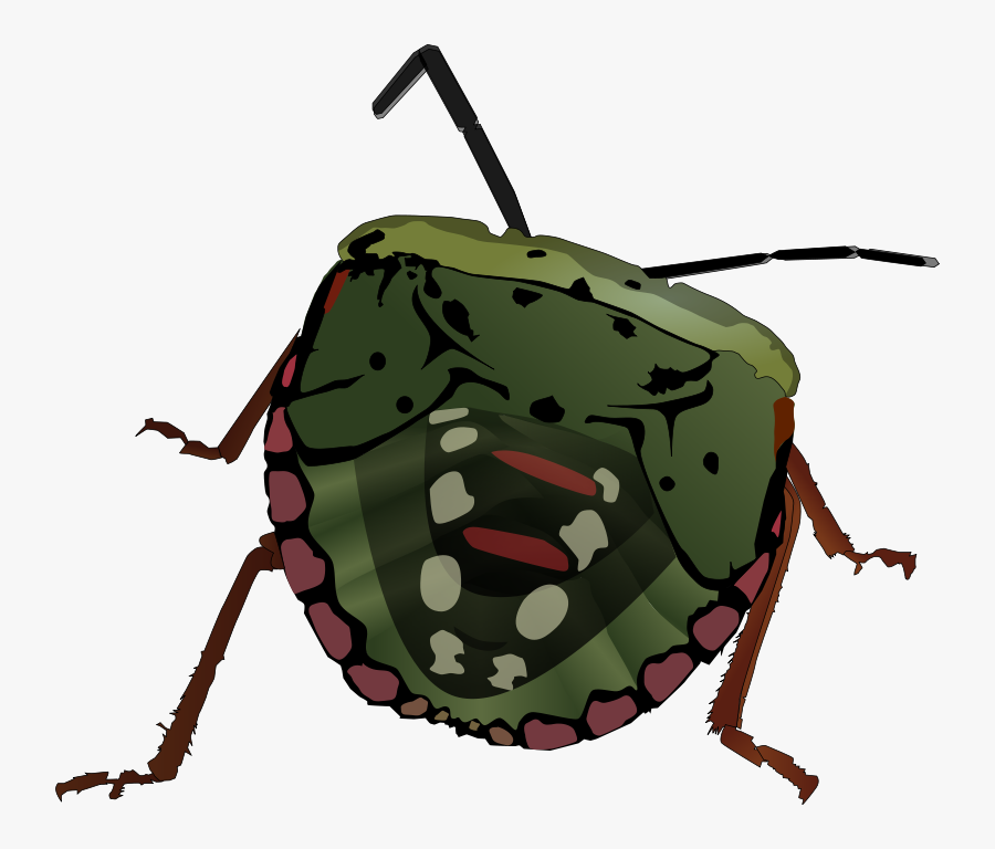 Stink Bug Svg Clip Arts - Bug Clip Art, Transparent Clipart