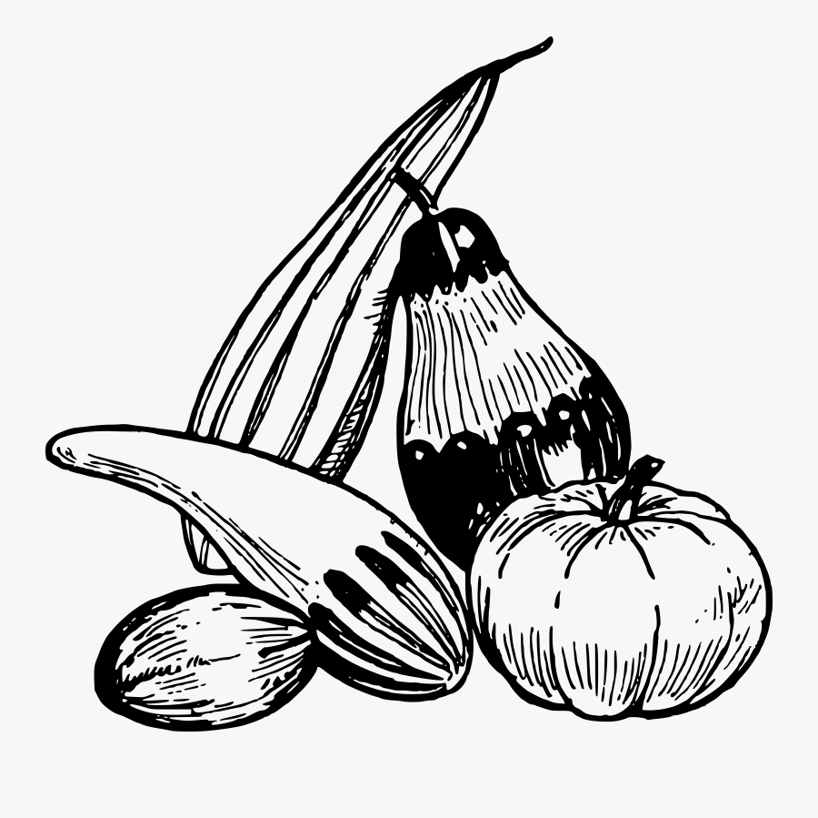 Pumpkin Vine Clipart - Vegetable Clipart Black And White Png, Transparent Clipart