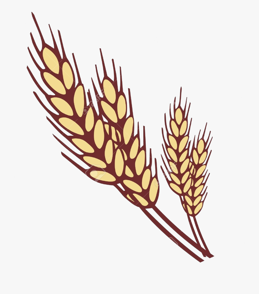 Wheat Collection Of Clipart Images In Transparent Png - Ear Of Wheat Clipart, Transparent Clipart