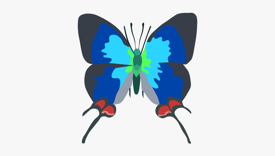 Bug Clipart Butterfly - Butterfly, Transparent Clipart