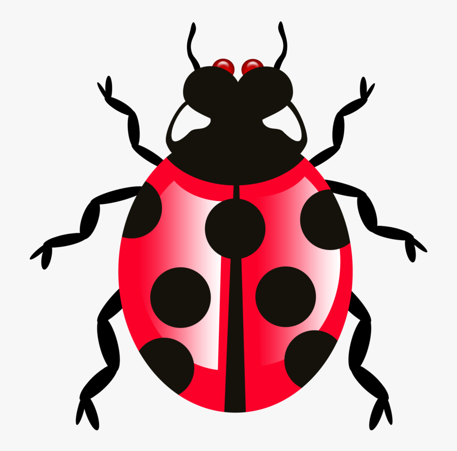 Transparent Ladybug Png - Defects Png, Transparent Clipart