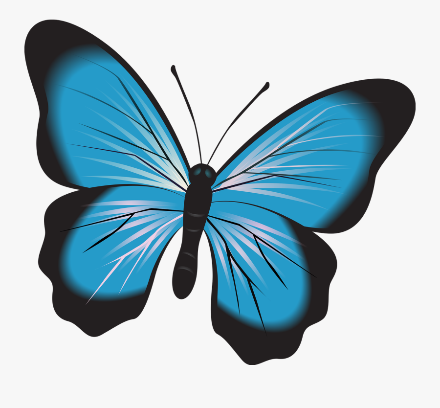 Insect Clipart Serangga - Butterfly Fluturi, Transparent Clipart
