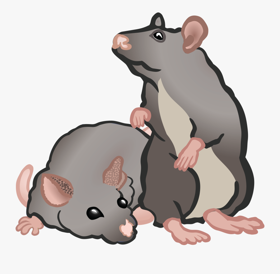 Thumb Image - Rat And Mouse Clipart, Transparent Clipart