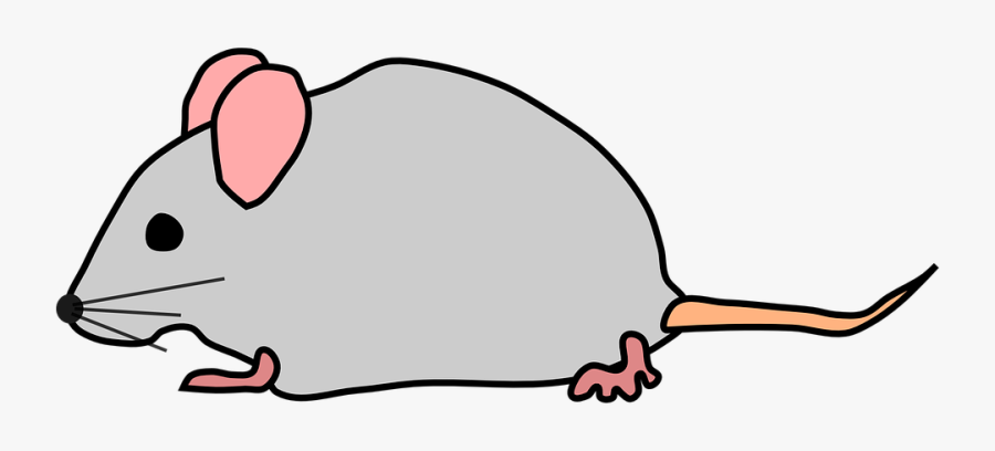 Mouse Clipart No Background, Transparent Clipart