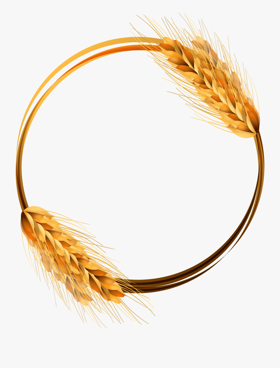 Download Transparent Wheat Clipart - Circle Wheat Png Vector , Free Transparent Clipart - ClipartKey