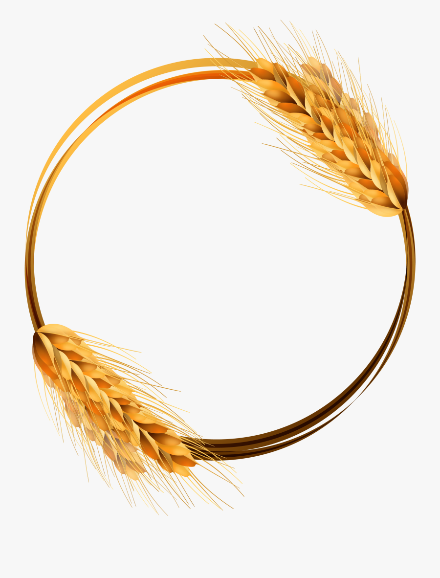 Transparent Wheat Clipart - Circle Wheat Png Vector, Transparent Clipart