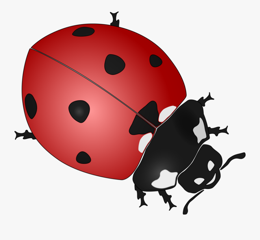Ladybug Clip Art At - Ladybug Black And White Clipart, Transparent Clipart