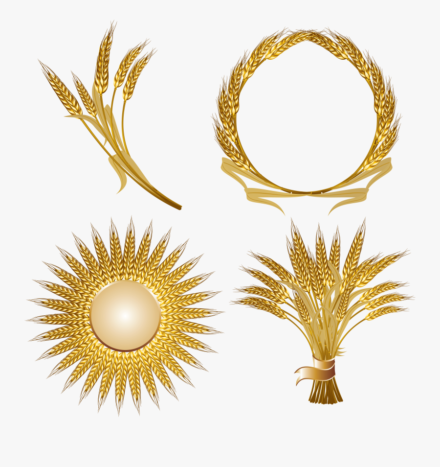 Wheat Png - Vector, Transparent Clipart