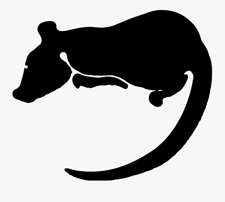 Rat - Rat Clip Art, Transparent Clipart