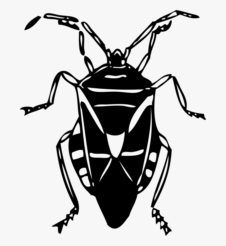 Windows Bug Clipart, Vector Clip Art Online, Royalty - Free Clipart Black And White Bug, Transparent Clipart