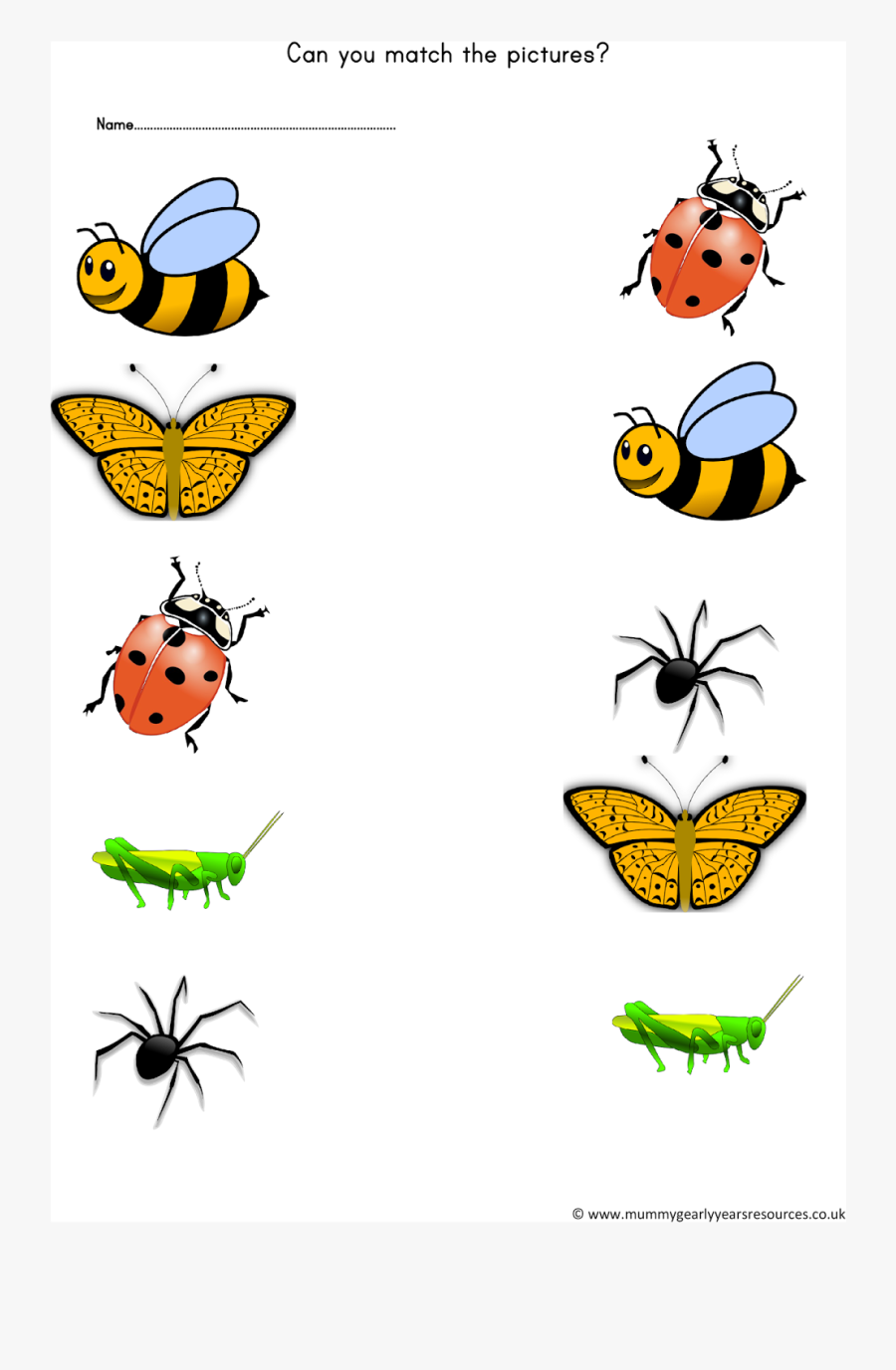 Mini Beasts Matching Pictures Worksheet - Minibeast Worksheets Early Years, Transparent Clipart
