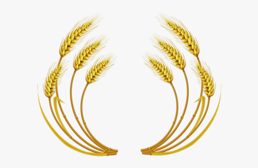 Free Download Wheat Vector Clipart Wheat Clip Art - Wheat Vector, Transparent Clipart