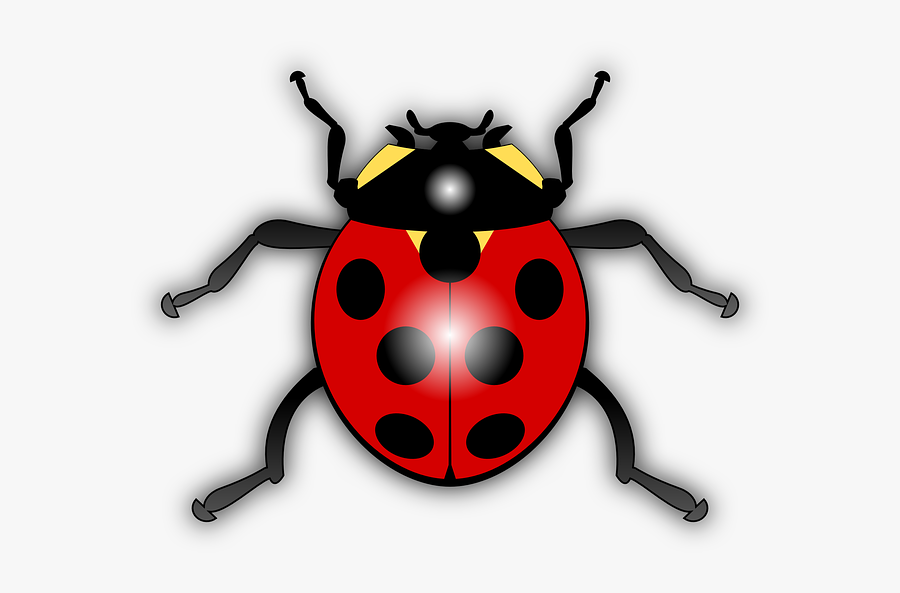 Dots Ladybug, Ladybird, Animal, Bug, Flying, Insect, - Ladybird Clipart, Transparent Clipart