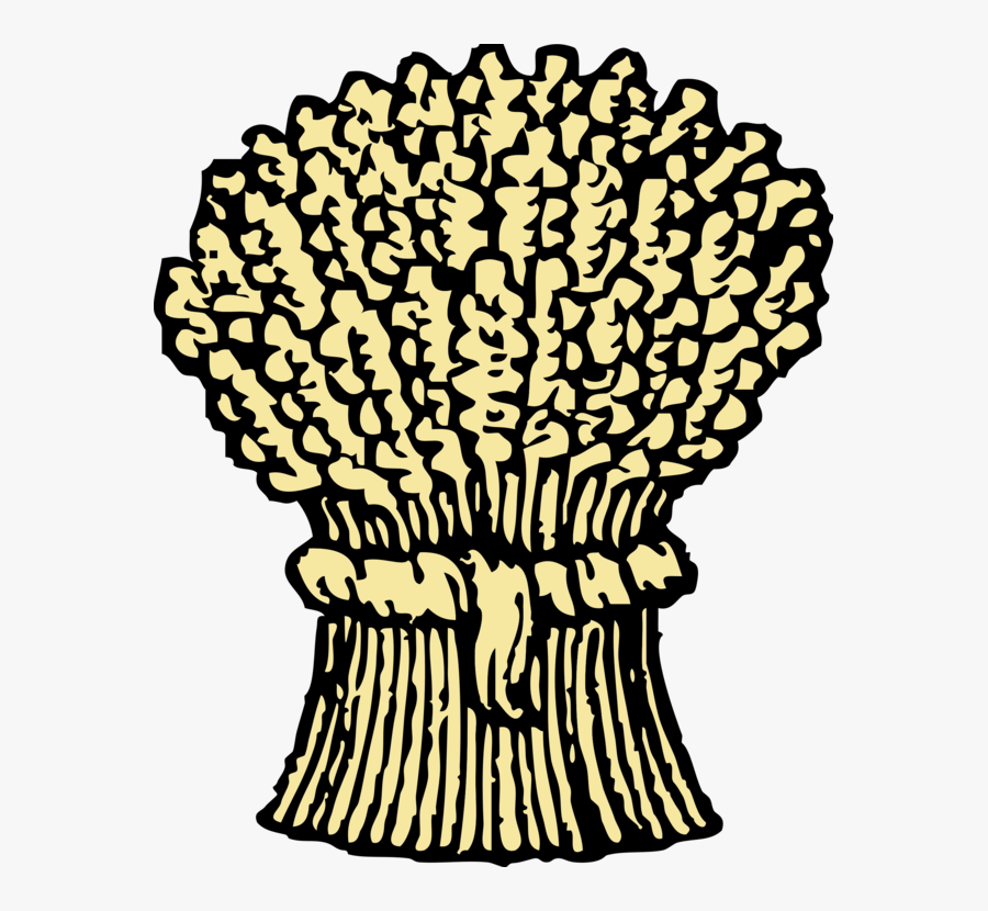 Wheat, Bunch, Grains, Sheaf, Pack, Harvest, Grain - Wheat Clip Art, Transparent Clipart