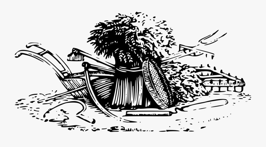 Wheat Harvest - Free Clip Art Harvest Black And White, Transparent Clipart