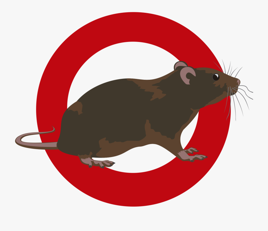 Clipart Rat Pest Control - Pest, Transparent Clipart