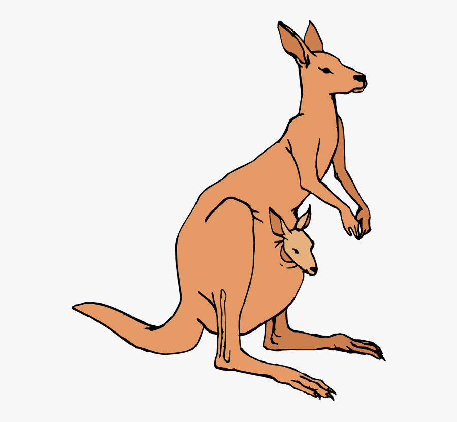 Kangaroo Clipart Black And White Free Clipart Images - Kangaroo Clipart Png, Transparent Clipart