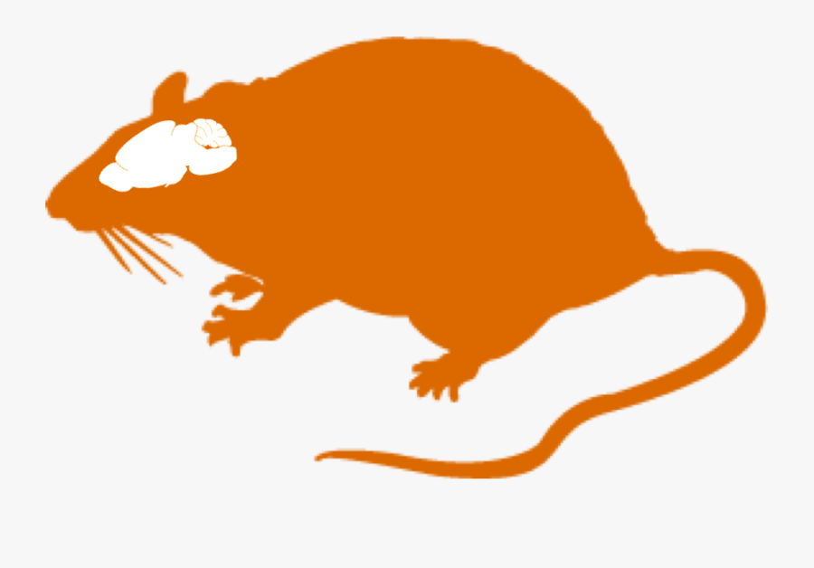 Transparent Rat Clipart Png, Transparent Clipart