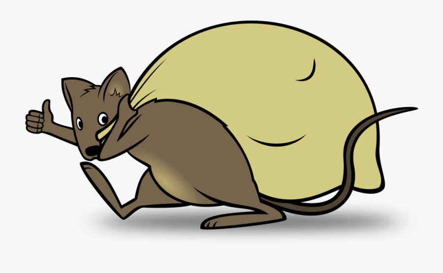 Beaver,snout,wildlife - Transparent Cartoon Rat, Transparent Clipart