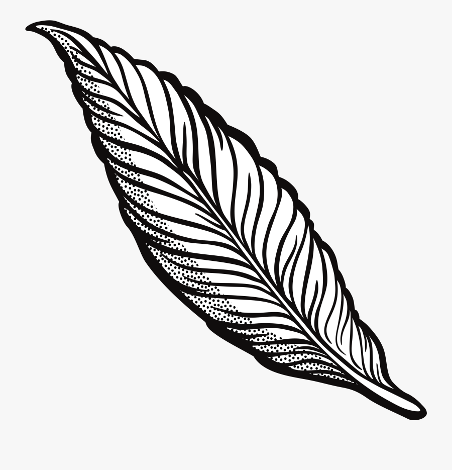Clipart Feather Lineart 45 Anniversary Clip Art Free - Feather Clipart Black And White, Transparent Clipart