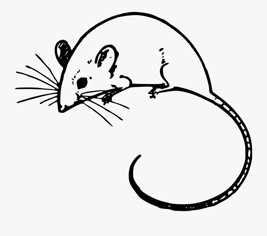 Clipart - Field Mouse Clipart Black And White, Transparent Clipart