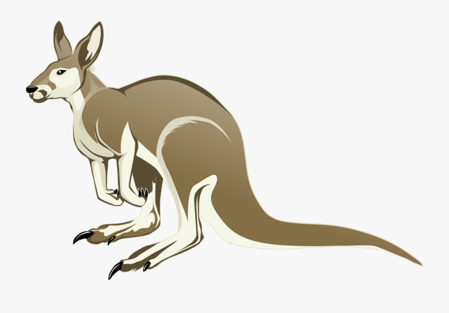 Download Kangaroo Png Transparent Images Transparent - Cartoon Kangaroo No Background, Transparent Clipart