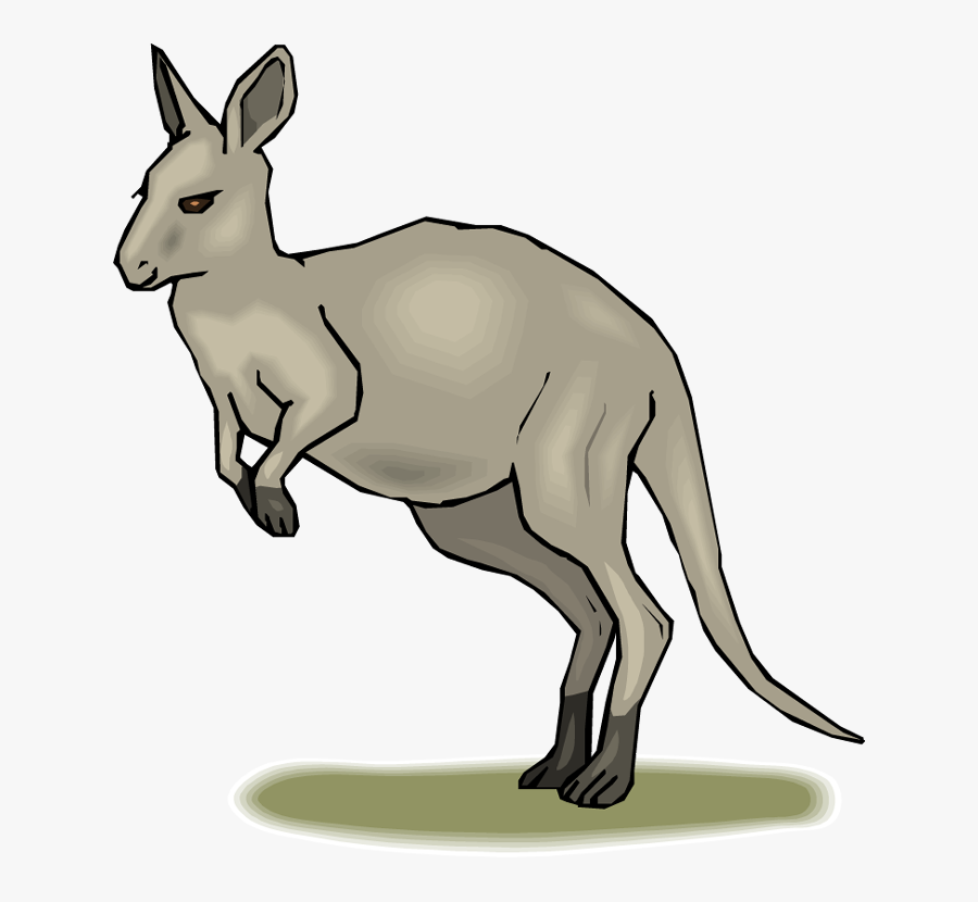 Kangaroo Clip Art Download Image - Eastern Grey Kangaroo Clipart, Transparent Clipart