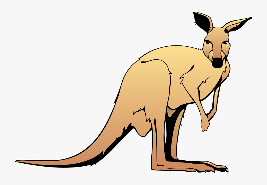Kangaroo Animal Clipart Free Images - Kangaroo Clip Art, Transparent Clipart