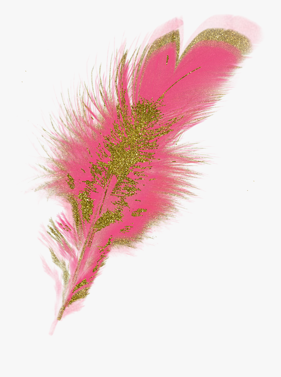 Clipart Party Feathers, Transparent Clipart