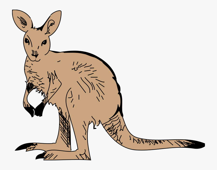 Kangaroo Clipart - Animated Image Of Kangaroo, Transparent Clipart