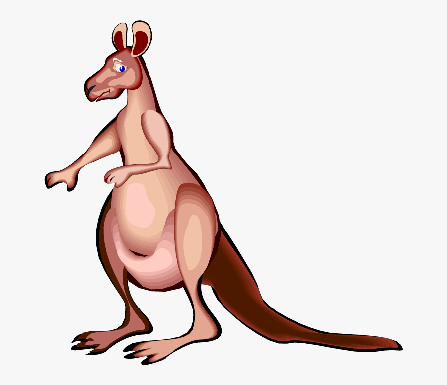 Free Kangaroo Clipart, Transparent Clipart