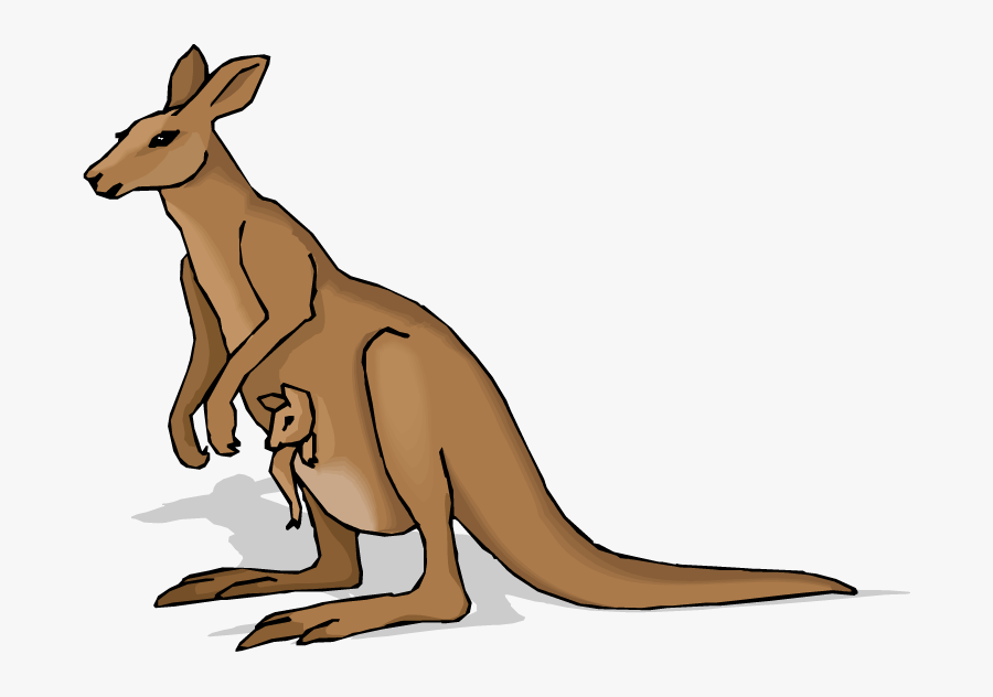 Kangaroo Clip Art Free Clipart Images - Chronological Report About Kangaroos, Transparent Clipart