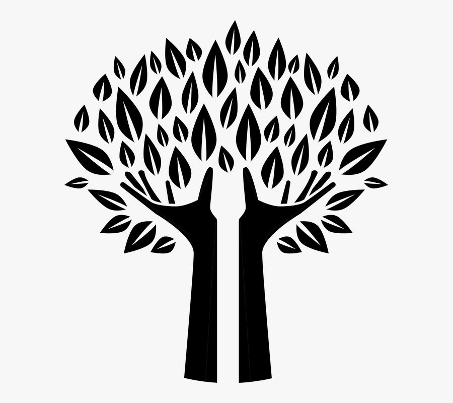 Transparent Spooky Tree Clipart - Tree Hand Vector Png, Transparent Clipart