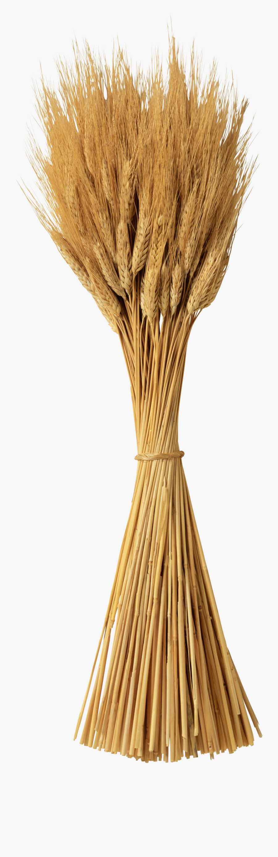 Wheat Png - Gavilla De Cebada, Transparent Clipart