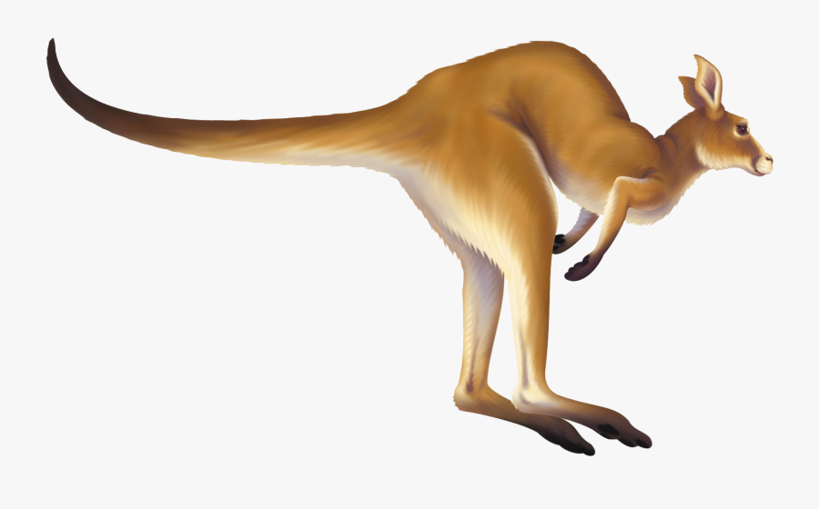Kangaroo Clipart Free - Kangaroo Jumping Kangaroo Animation, Transparent Clipart