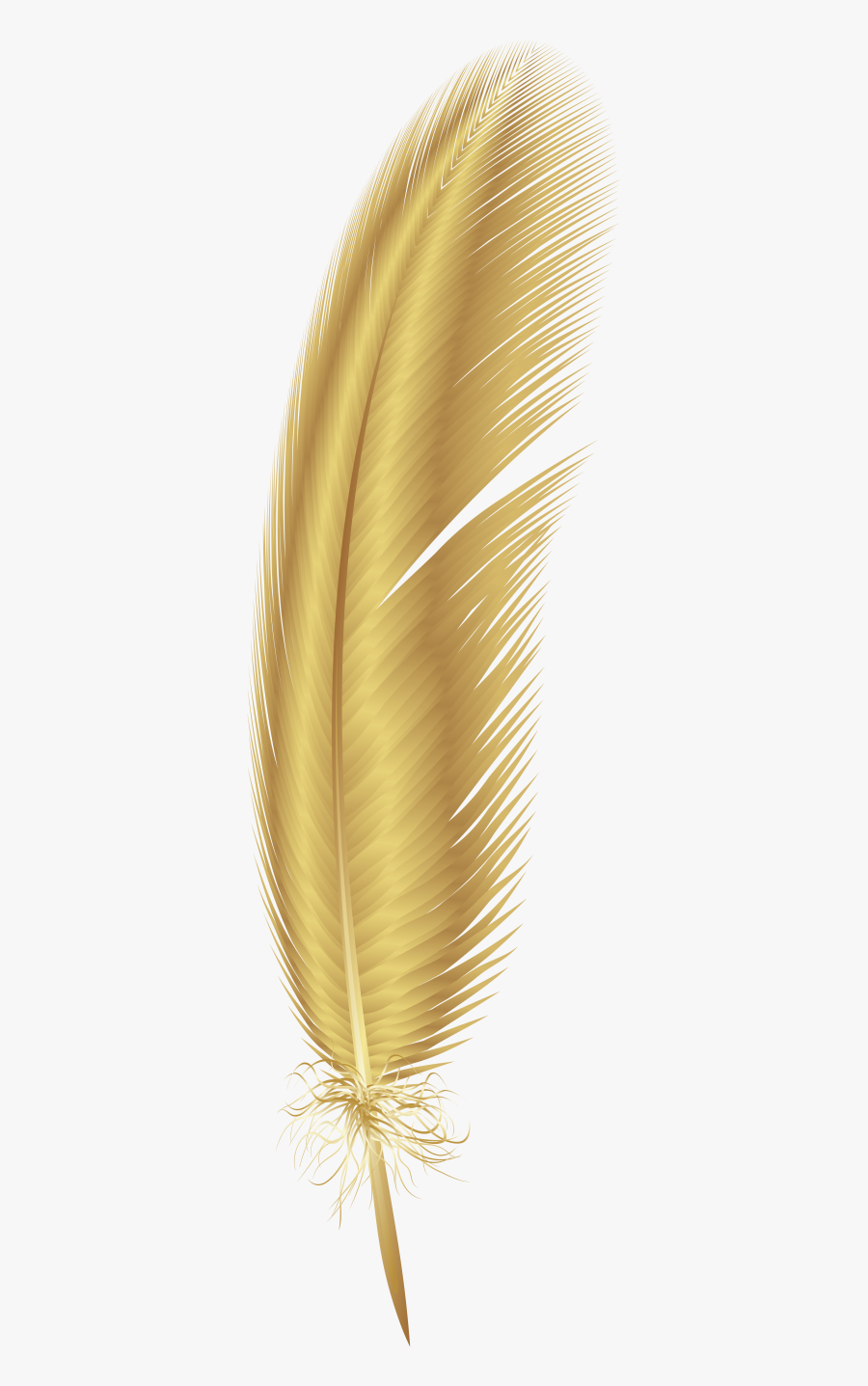Transparent Background Gold Feather Png, Transparent Clipart
