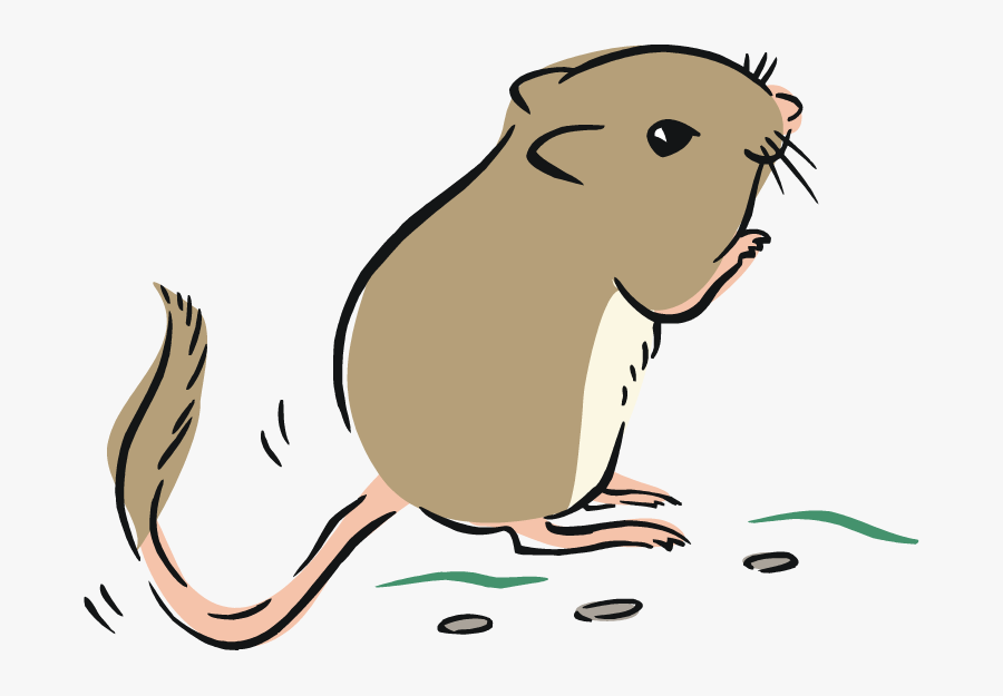Transparent Rat Clip Art - Cartoon, Transparent Clipart