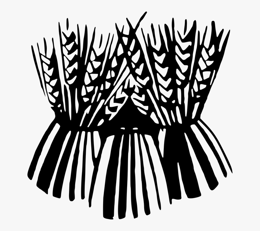 Bundle, Cereal, Sheaf, Sheaves, Wheat - Harvest Moon September 2017, Transparent Clipart