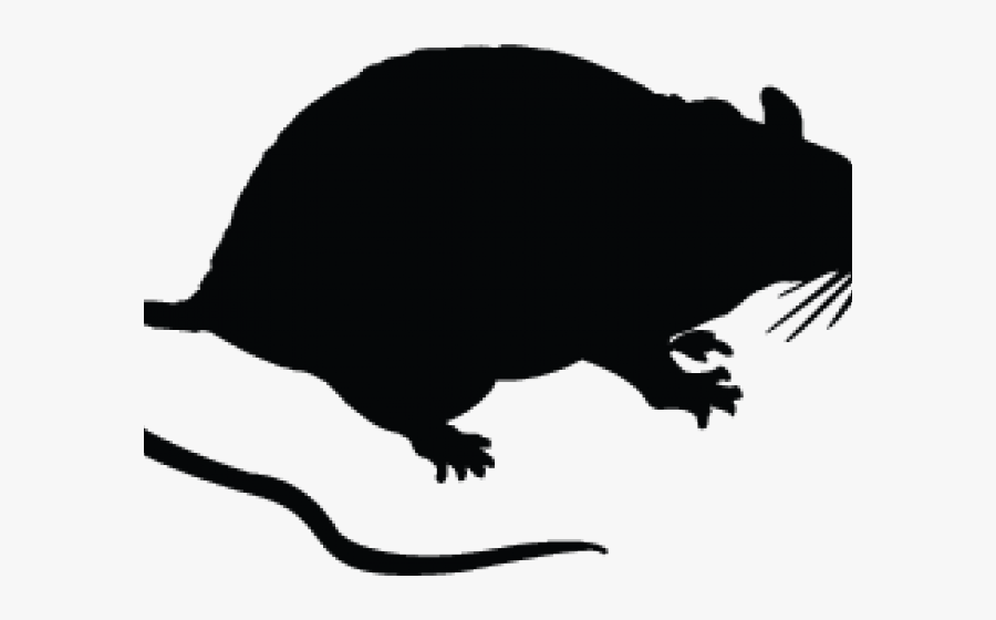 Silhouette Clipart Rat - Black Rat Cartoon Png, Transparent Clipart