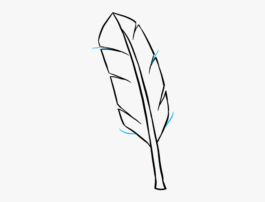 How To Draw A Feather - Feather Pen Easy Drawing, Transparent Clipart