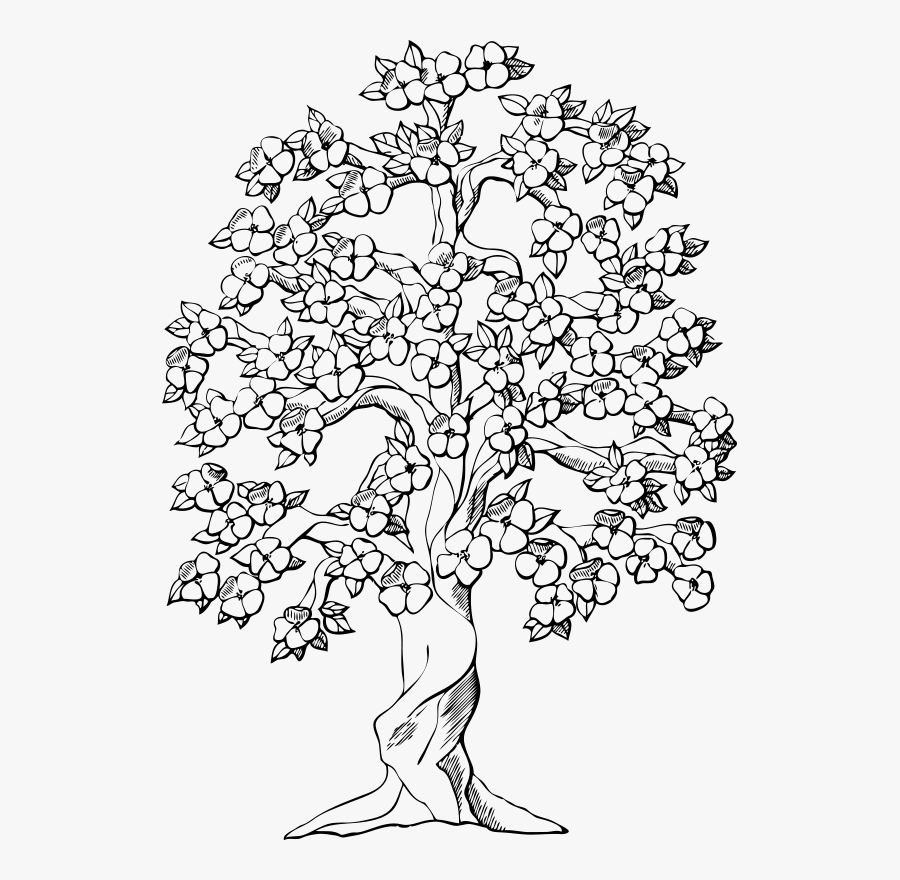 Art,symmetry,monochrome - Drawings Of Trees With Flowers, Transparent Clipart