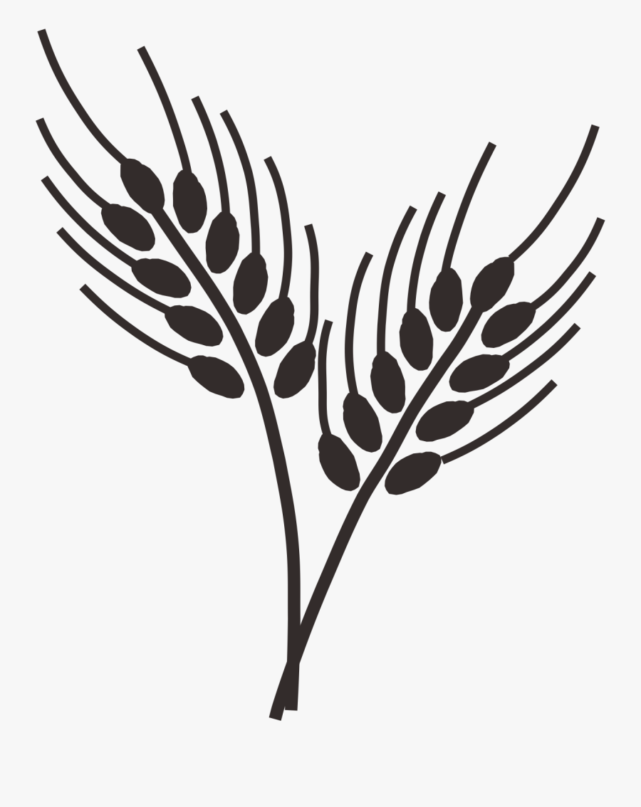 Transparent Ear Clipart - Wheat Draw Png, Transparent Clipart