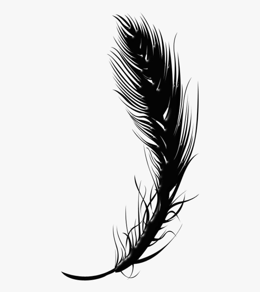 Feather Pen Png - Black Feather Clip Art, Transparent Clipart