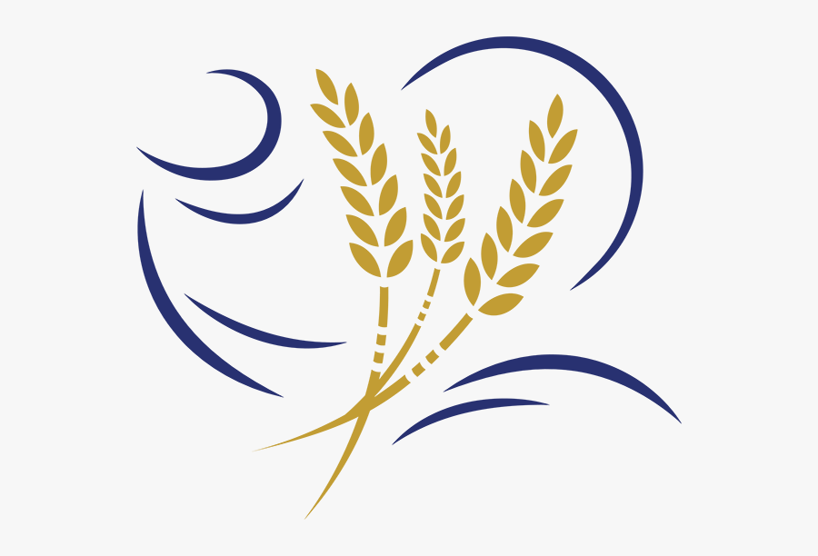 The Curved Lines To The Left Of The Wheat Represent - Curve Wheat Clipart, Transparent Clipart