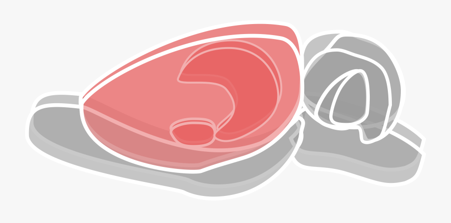 Organ,logo,jaw - Rat Brain Png, Transparent Clipart