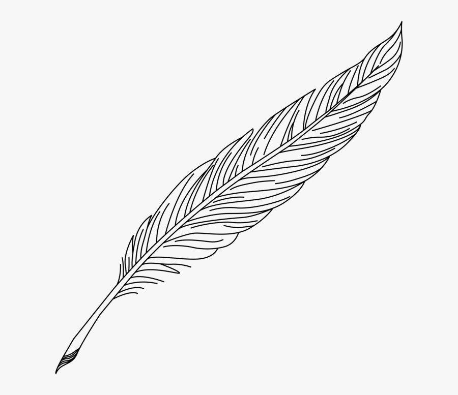 Line Art,plant,leaf - Clipart Transparent Background Feather Pen, Transparent Clipart