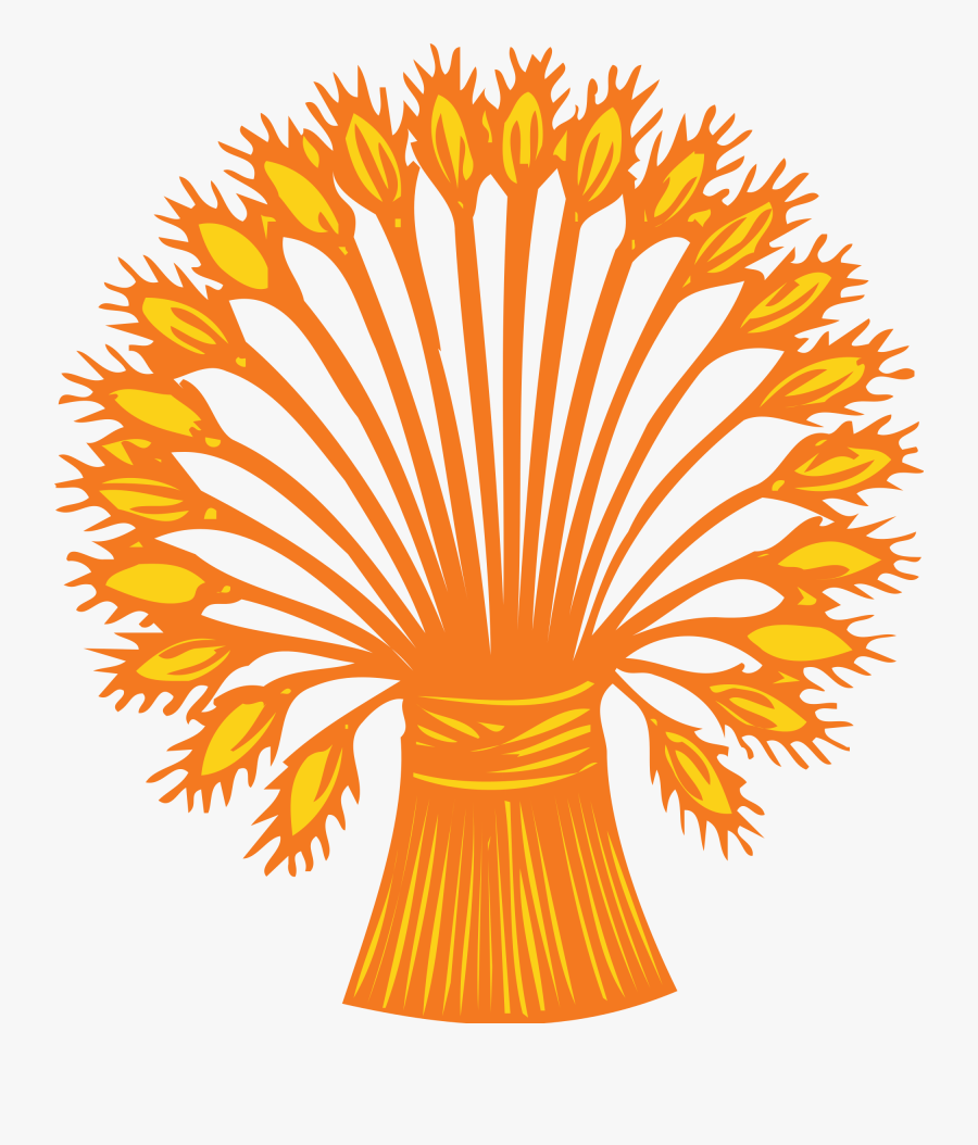 Branch Clipart Wheat - Race Face Cinch Chainring, Transparent Clipart