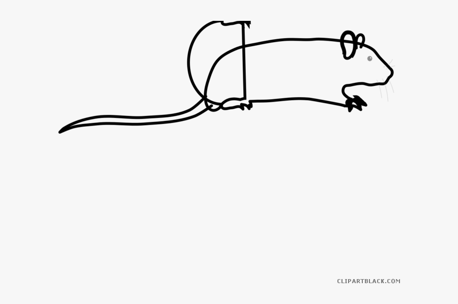 Black And White Graphics, Transparent Clipart